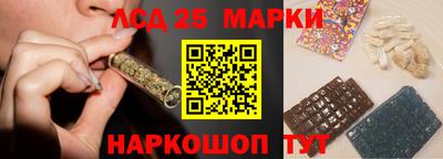 прущие грибы Заводоуковск