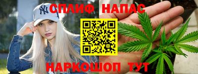 прущие грибы Заводоуковск