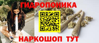прущие грибы Заводоуковск