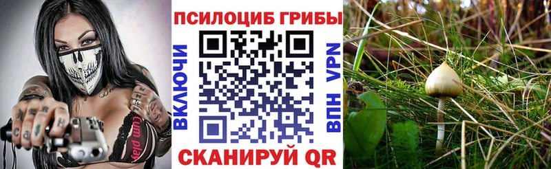 Псилоцибиновые грибы Magic Shrooms  хочу наркоту  Геленджик 