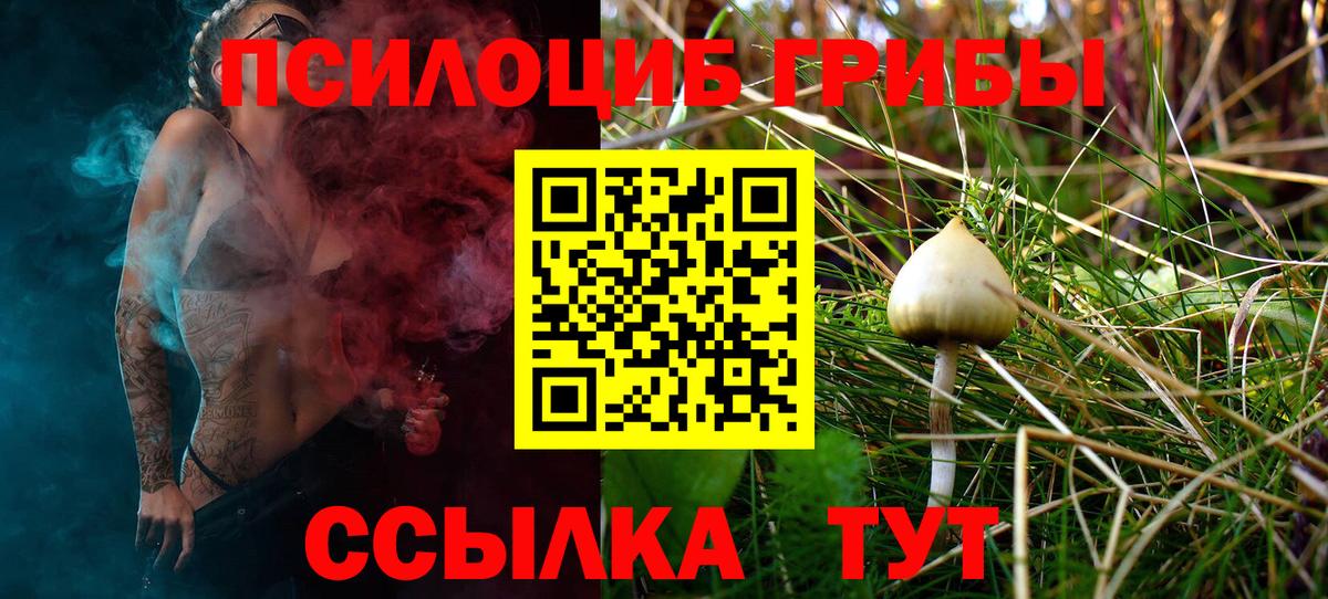Геленджик  Галлюциногенные грибы Psilocybe  Вход с VPN 